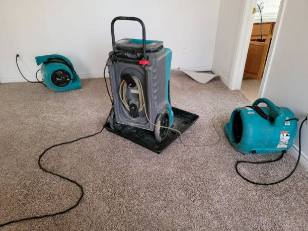 Best Local water damage restoration  in White Oak, MS
