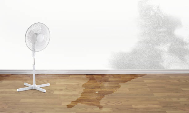 Best Sewage cleanup and water damage restoration  in White Oak, MS