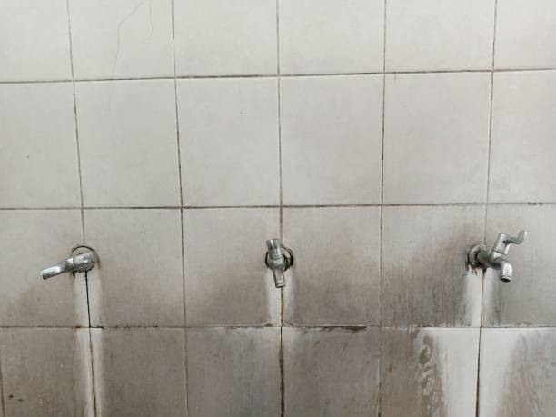 Best Commercial water damage restoration  in White Oak, MS